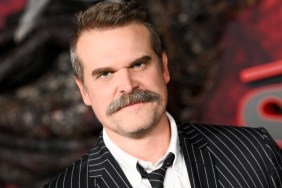 David Harbour Looks Almost Unrecognizable in Evil Genius Set Photos
