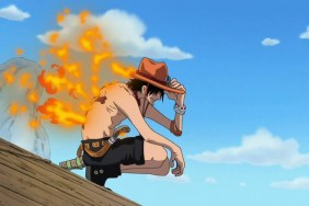 One Piece ace cast
