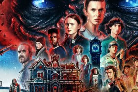 Stranger Things season 5 will steve