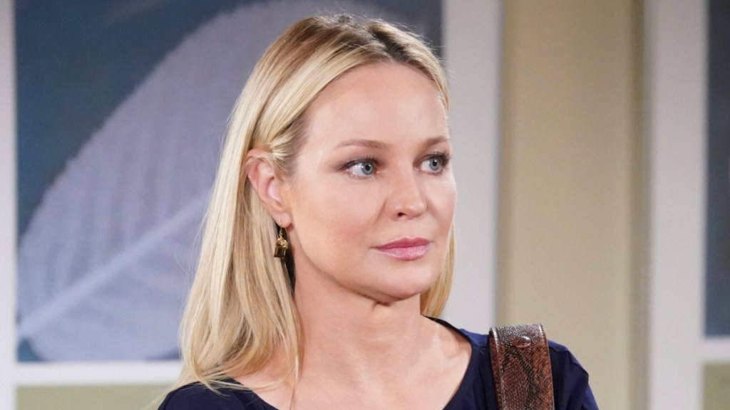 Young & Restless’ Sharon Actress Teases Delivering 'Hell' to Matt Clark
