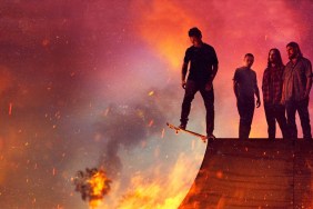 When Is Animal Kingdom Leaving Netflix & Why?
