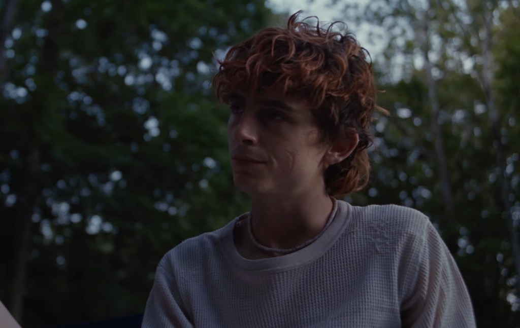Timothée Chalamet Reacts to Losing Best Actor Oscar, Reveals If He’d Do TV