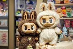 A Movie Based on Labubu Dolls Set to Become a Reality Soon