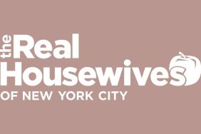 RHONY Fan-Favorite Leaves Bravo Series After 2 Seasons