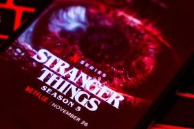 Stranger Things Actress Retiring Linda Hamilton Season 5 Retirement Dr. Kay