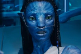 Avatar: Fire and Ash Post-Credits Scene: Is There a Scene at the End?