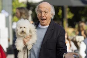 Curb Your Enthusiasm: The Complete Series Blu-ray Review