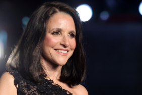 Julia Louis-Dreyfus Says Veep Shutdown Forced Her Cancer Reveal
