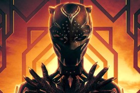Black Panther 3 Release Date Window Revealed for MCU Movie