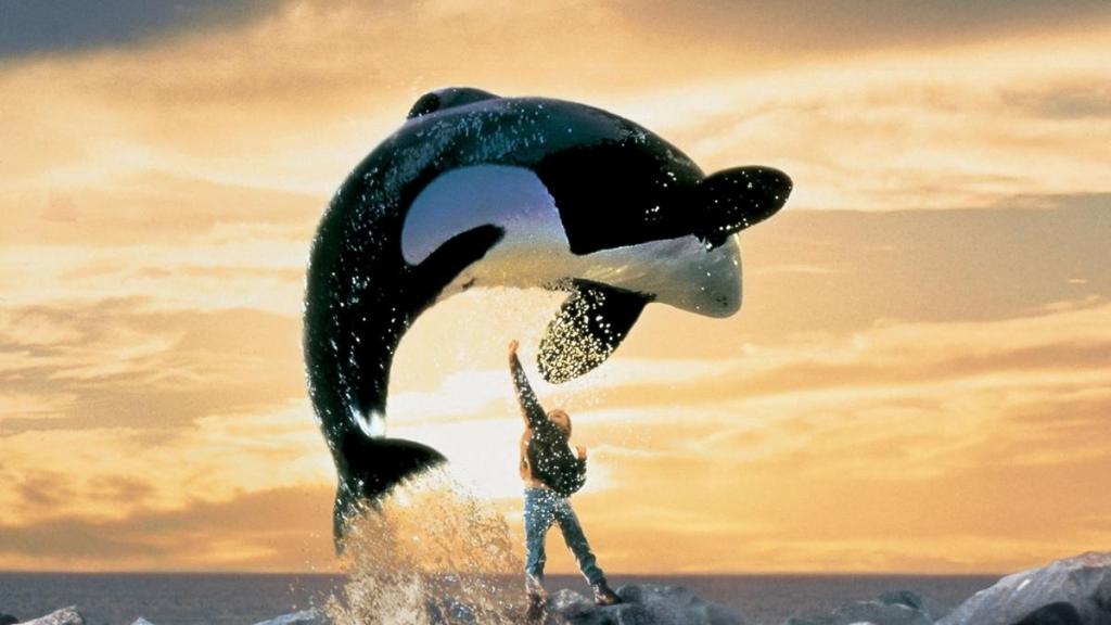 Beloved 1993 Family Movie About a Captive Orca To Stream on Prime Video