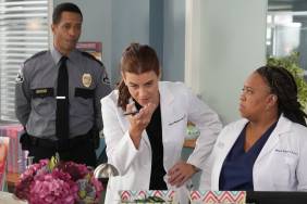 Grey’s Anatomy Season 22 Confirms Return of Fan-Favorite Character