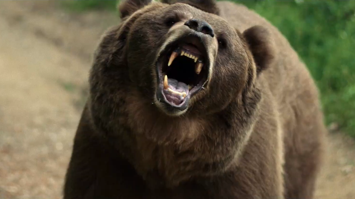 Grizzly Night Trailer Bear Attack Horror Movie With Jack Griffo