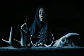 Mother of Flies Trailer: Horror Movie Has 100% Rotten Tomatoes Rating