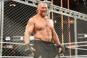 Why WWE Fans Think Brock Lesnar & More Are Returning for Royal Rumble