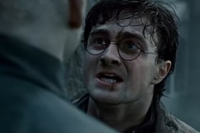 Harry Potter's Returning Actor Says TV Show Will Do What Movies Couldn't
