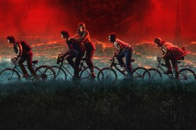 Has Stranger Things Season 6 Been Renewed or Canceled?