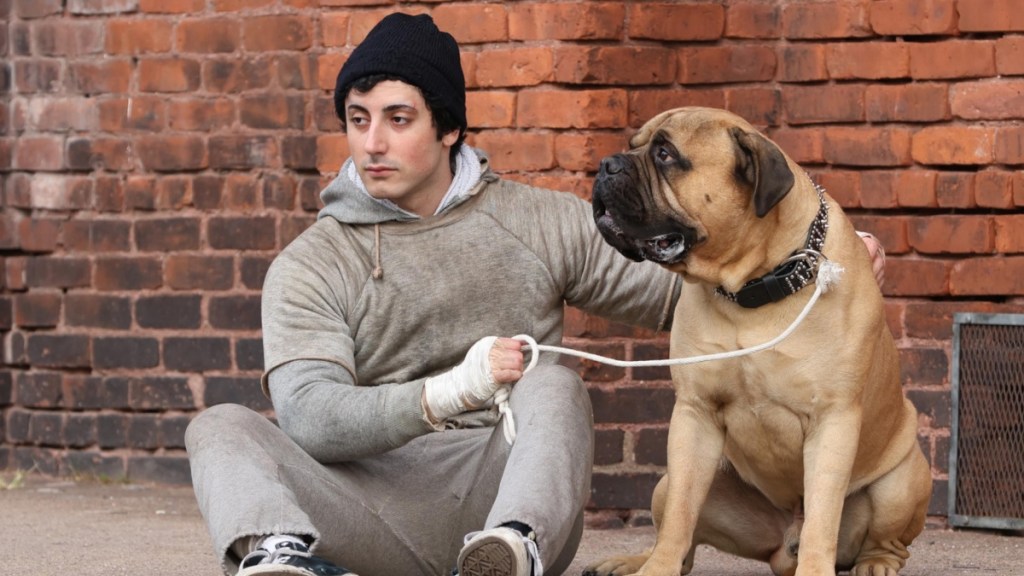 I Play Rocky Sets Release Date for Biopic on Sylvester Stallone Boxing Film