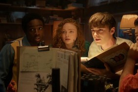 Stranger Things Fans Are Distraught After Netflix Didn’t Release Episode 9