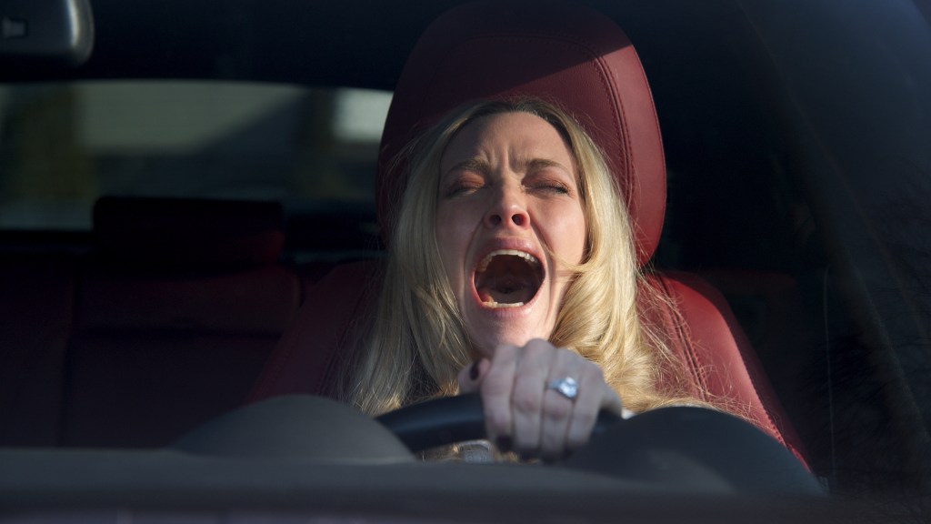 The Housemaid Digital Release Date Set for Amanda Seyfried & Sydney Sweeney Movie