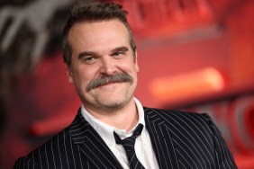 David Harbour’s Replacement in Andor Showrunner’s New Movie Found