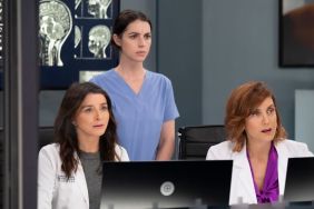 Grey's Anatomy To Halt Production Amid Anti-ICE Protests — Report