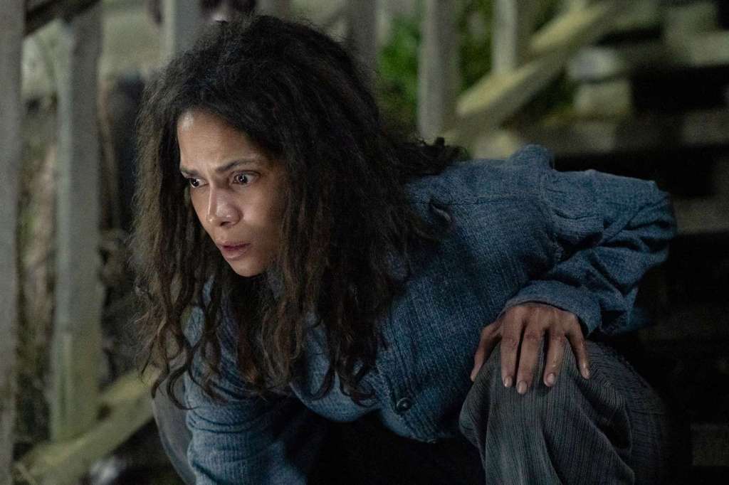 7 New Halle Berry Movies, Plus HBO, Peacock, & FX Shows Revealed
