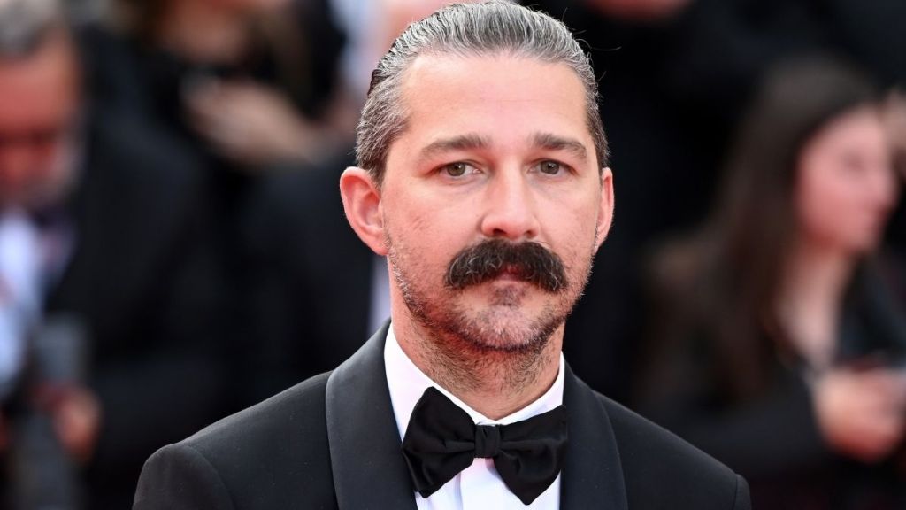 Shia LaBeouf Ordered To Rehab by Judge After New Orleans Arrest — Report