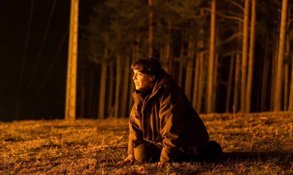Firebreak Trailer Previews Netflix’s Stressful Wildfire Disaster Movie