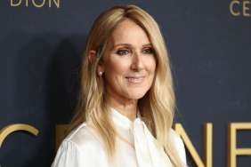 Celine Dion Reveals How Her Iconic Titanic Song Almost Didn't Happen