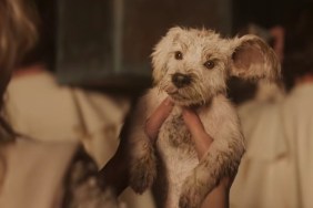 Supergirl New Trailer Shows Krypton's Destruction & Puppy Krypto