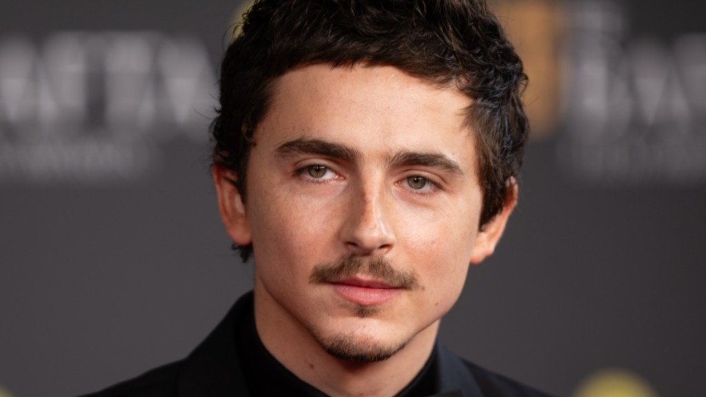 Timothée Chalamet Reveals Who His Favorite Director Is & It's a No Brainer
