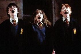 Daniel Radcliffe, Rupert Grint & Emma Watson Had Chats on New Harry Potter Show