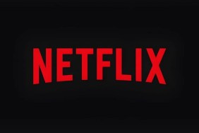 Netflix Fans Are Distraught After Latest Cancellation