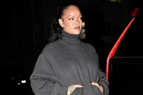 Woman Who Allegedly Shot at Rihanna's Home Charged With Attempted Murder