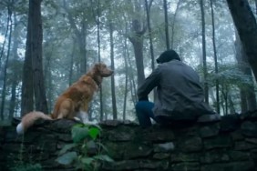 Horror Movie With a Dog as Lead Gets Hulu Streaming Date