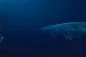 Jai Courtney’s Shark Horror Movie Out on Hulu Today