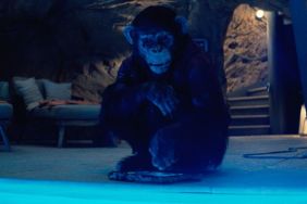 Primate Streaming Release Date Set for Chimpanzee Horror Movie