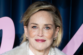 Basic Instinct's Sharon Stone Explains Why She Fast-Forwards TV Sex Scenes