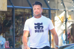 Baywatch’s David Charvet Cleared of Wrongdoing After Truck Killed Dog — Report