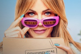 Has High Potential Season 3 Been Renewed or Canceled?
