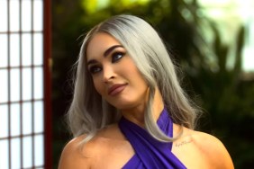 Megan Fox's R-Rated Thriller Movie Is Leaving Netflix