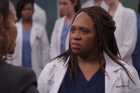 Why Grey’s Anatomy Fans Think Miranda & Benson Could Leave After Teddy & Owen