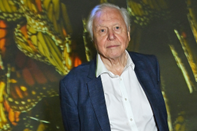 Sir David Attenborough's 100th Birthday Celebration To Include Gorilla Footage