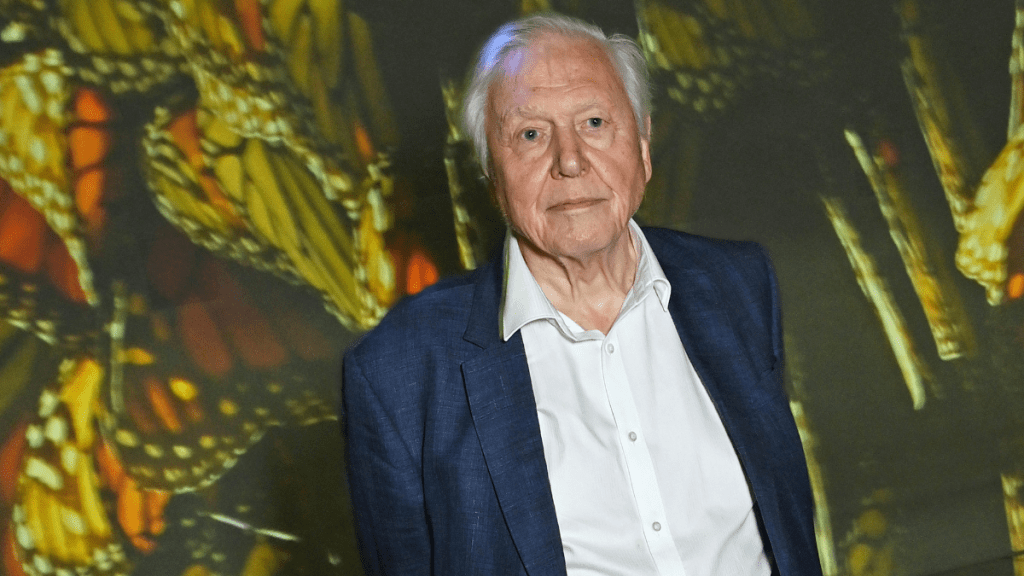 Sir David Attenborough's 100th Birthday Celebration To Include Gorilla Footage