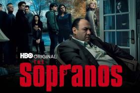 The Sopranos & MCU Stars Cast in New Mob Movie Brick City, More Details Revealed