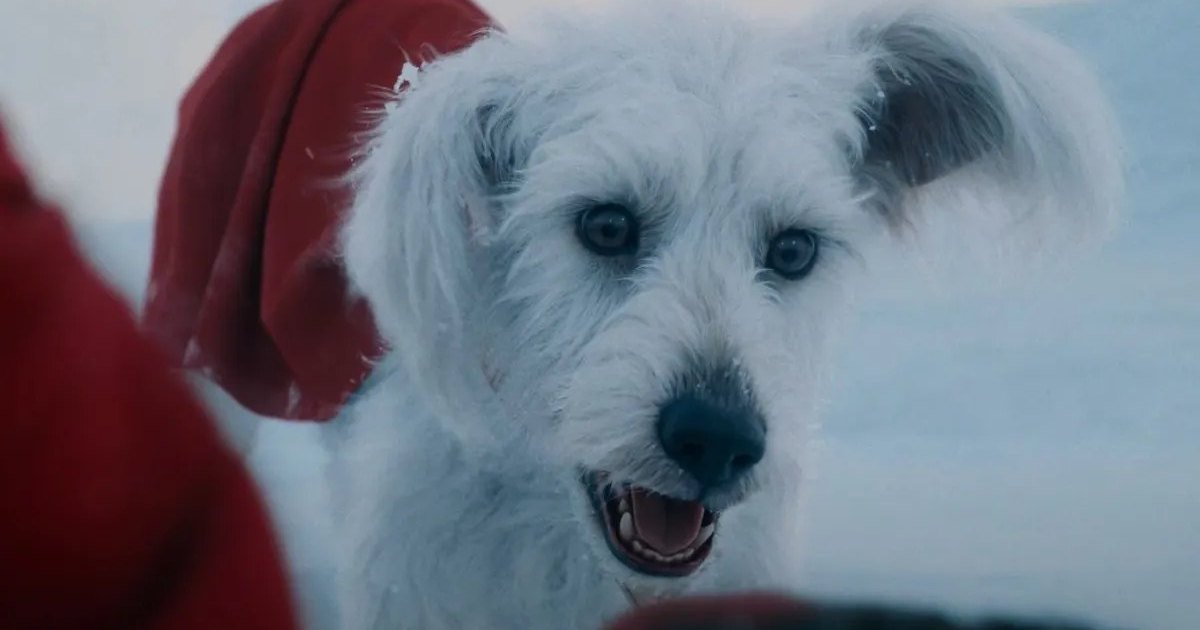 Supergirl: Watch Adorable Krypto Puppy Meet Superman in New DCU Video