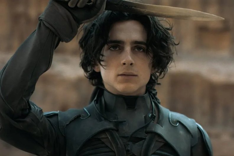 Timothée Chalamet Cast Opposite Selena Gomez in New Sci-Fi Movie