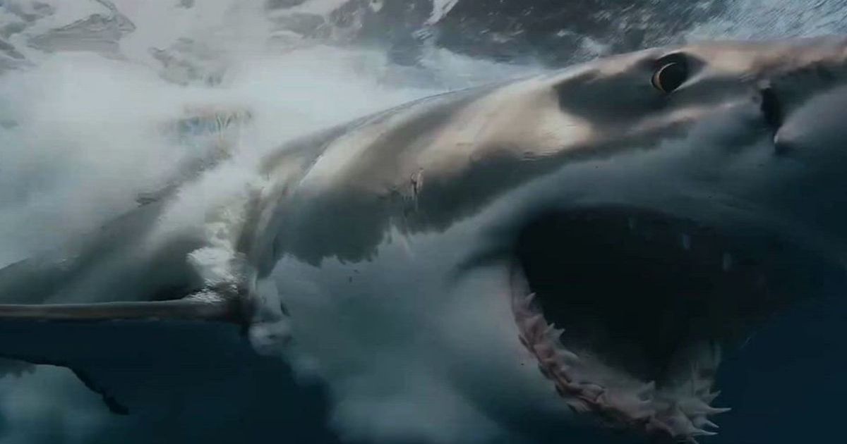 Shark Thriller Chum Sets AMC+ Streaming Release Date