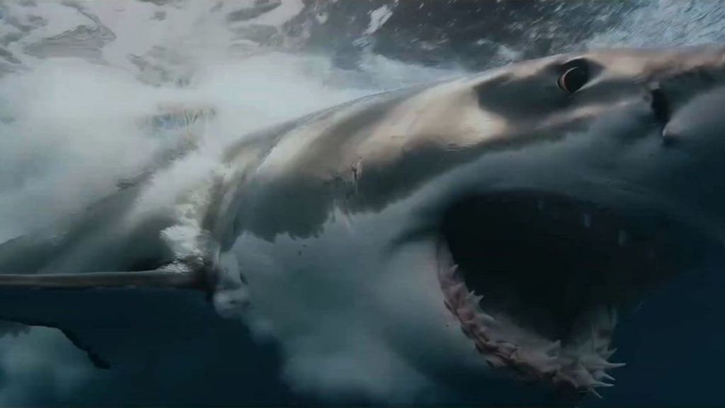Shark Thriller Chum Sets AMC+ Streaming Release Date image