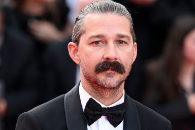 Shia LaBeouf Sentenced to Probation, Rehab in New Orleans Case — Report